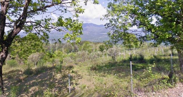 terreno agricolo in vendita a Roccagloriosa