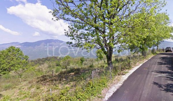 terreno agricolo in vendita a Roccagloriosa