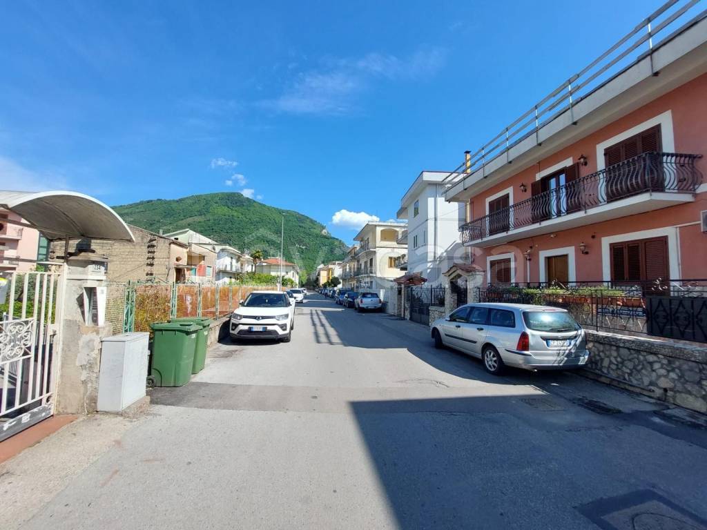 immagine annuncio 0 di 15