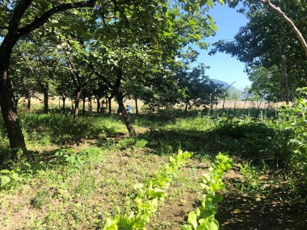 terreno agricolo in vendita a Roccapiemonte