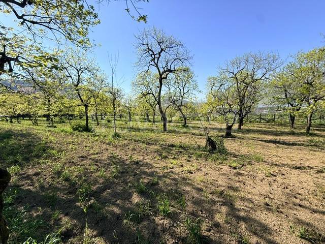 terreno agricolo in vendita a Roccapiemonte in zona San Potito
