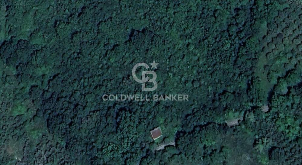 terreno agricolo in vendita a Rofrano