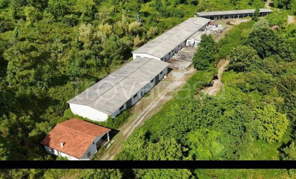 casa indipendente in vendita a Rofrano in zona S. Menale