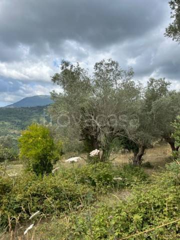 terreno agricolo in vendita a Rutino