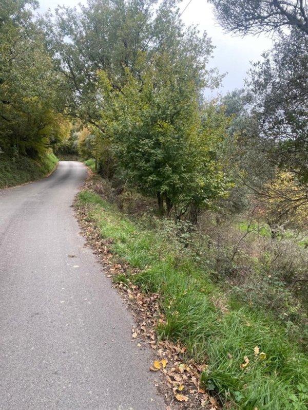 terreno agricolo in vendita a Rutino