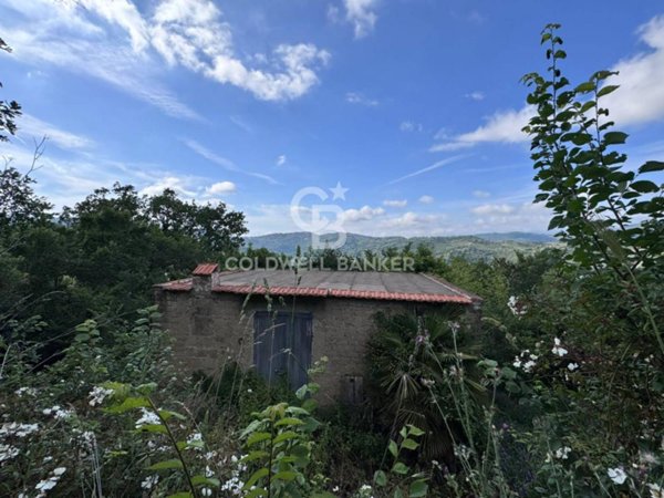 terreno agricolo in vendita a Rutino