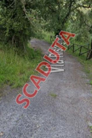 pentavano in vendita a Rutino