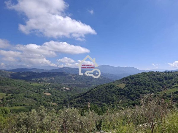 terreno agricolo in vendita a Rutino