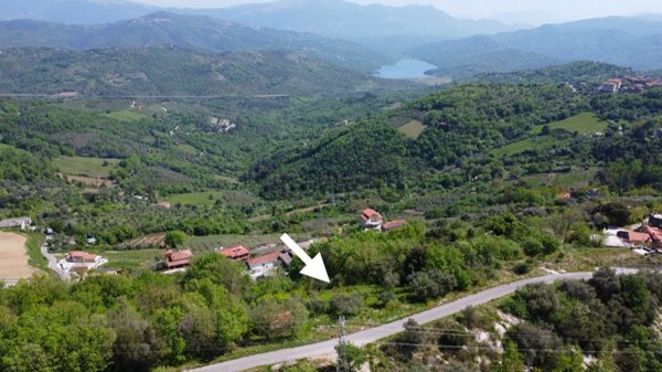 terreno agricolo in vendita a Rutino