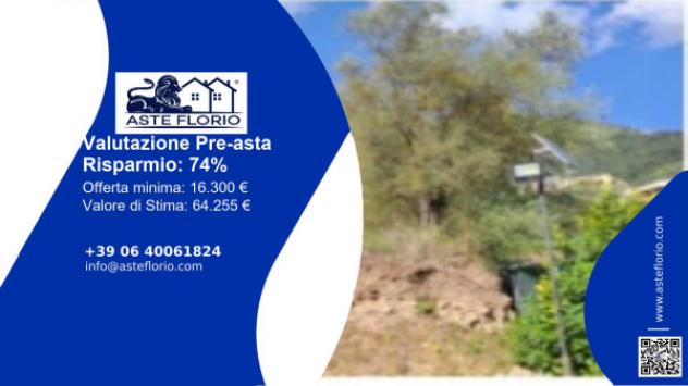 terreno agricolo in vendita a Sala Consilina