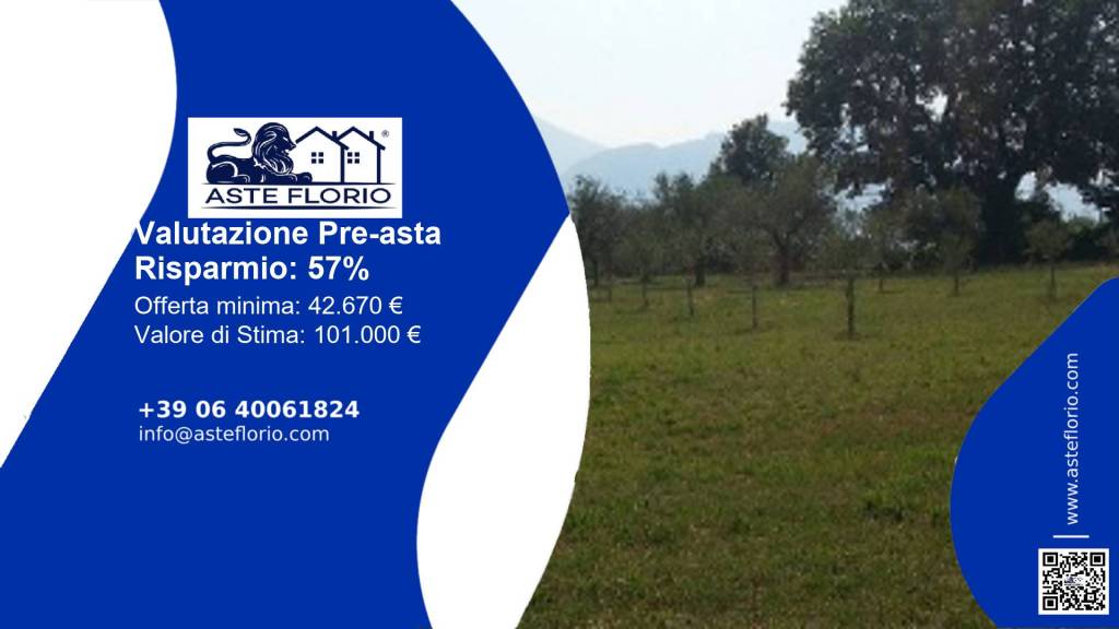 terreno agricolo in vendita a Sala Consilina