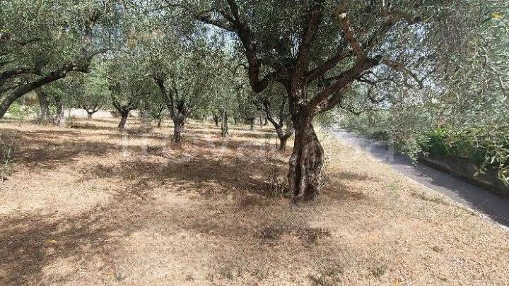casa indipendente in vendita a Sala Consilina