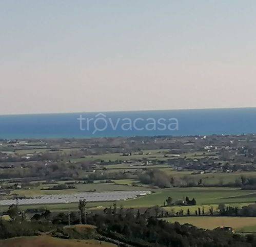 terreno agricolo in vendita a Salento
