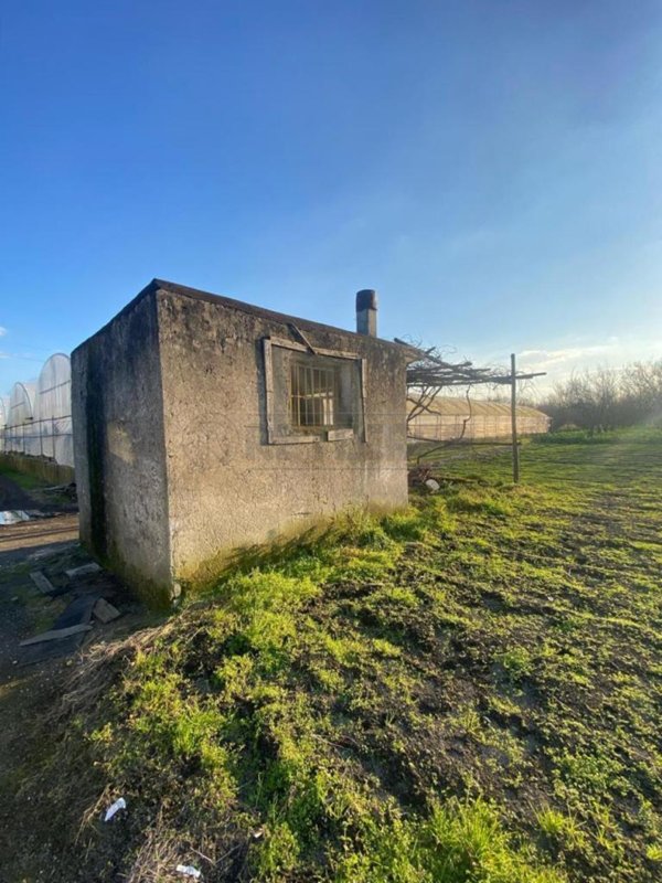 terreno agricolo in vendita a Salerno