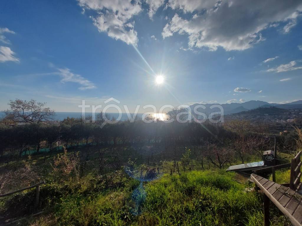 terreno agricolo in vendita a Salerno in zona Sala Abbagnano