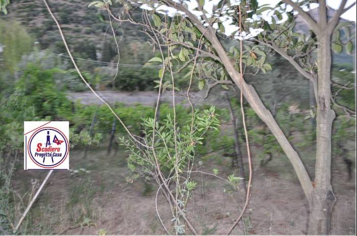 terreno agricolo in vendita a Salerno in zona Ogliara