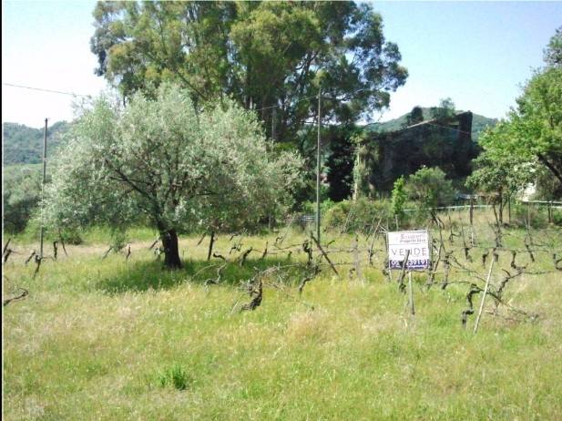 terreno agricolo in vendita a Salerno in zona Ogliara