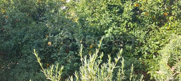 appartamento in vendita a Salerno in zona Centro Città