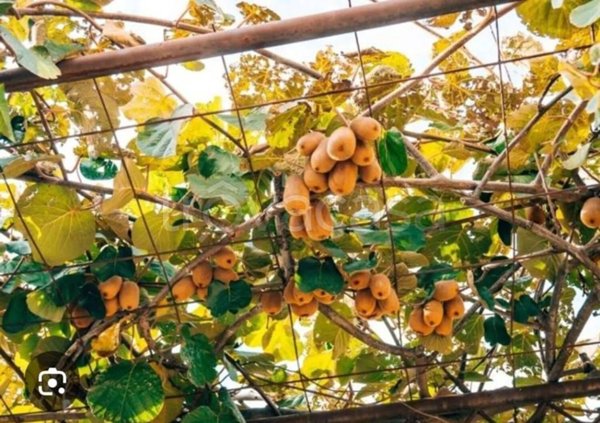 appartamento in vendita a Salerno in zona Giovi Altimare