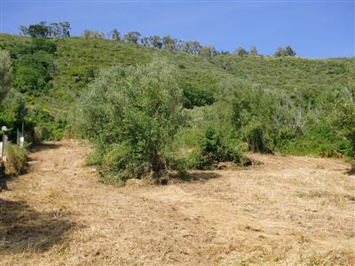 terreno agricolo in vendita a Salerno