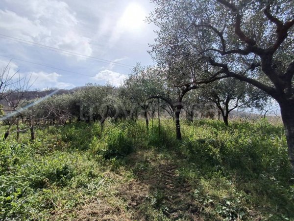 terreno agricolo in vendita a Salerno in zona Ogliara