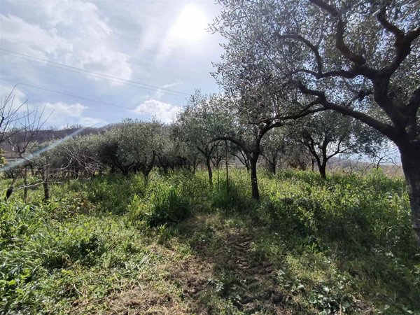 terreno agricolo in vendita a Salerno