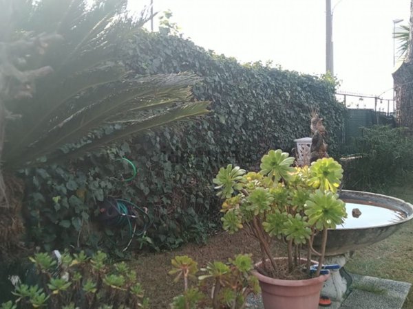 appartamento in vendita a Salerno