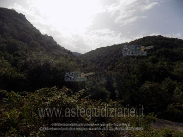 terreno agricolo in vendita a Salerno in zona Mercatello