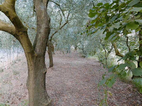 terreno agricolo in vendita a Salerno in zona Centro Città