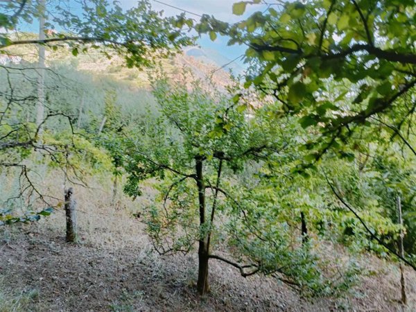terreno agricolo in vendita a Salerno in zona Centro Città