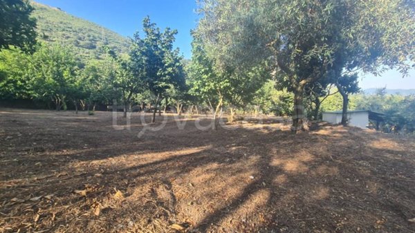 terreno agricolo in vendita a Salerno in zona Ogliara