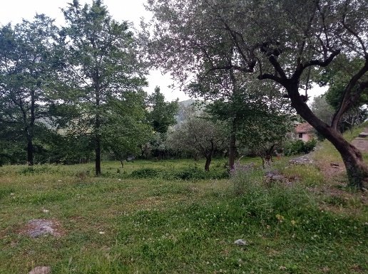 casa indipendente in vendita a Salerno in zona Centro Città