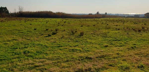 terreno agricolo in vendita a Salerno