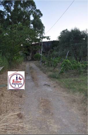 terreno agricolo in vendita a Salerno in zona Ogliara