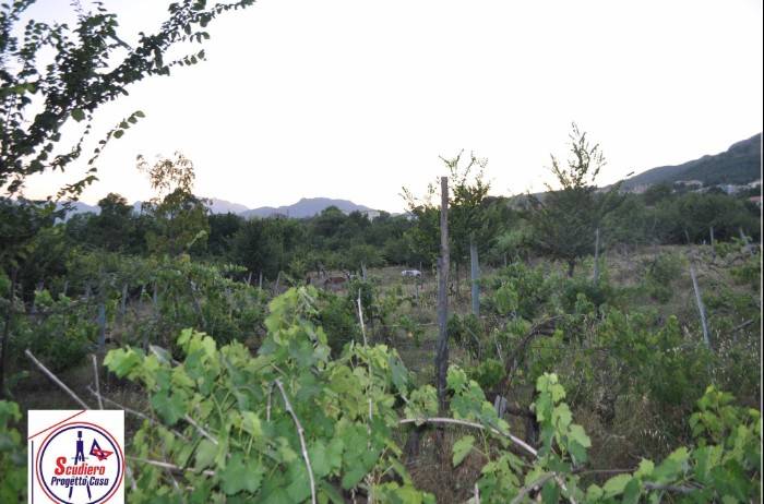 terreno agricolo in vendita a Salerno in zona Ogliara