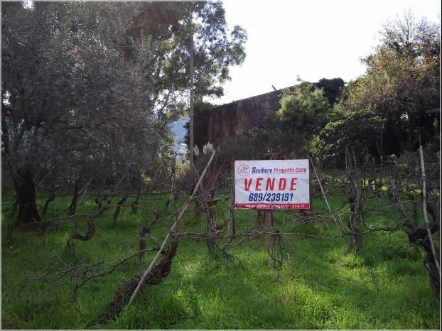 terreno agricolo in vendita a Salerno in zona Ogliara