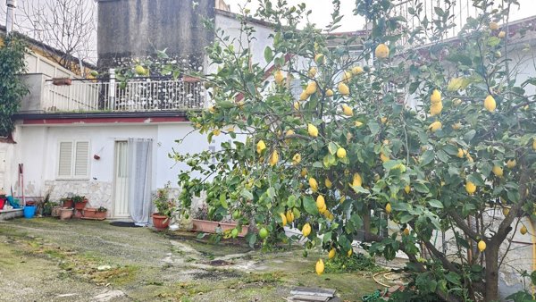 appartamento in vendita a Salerno