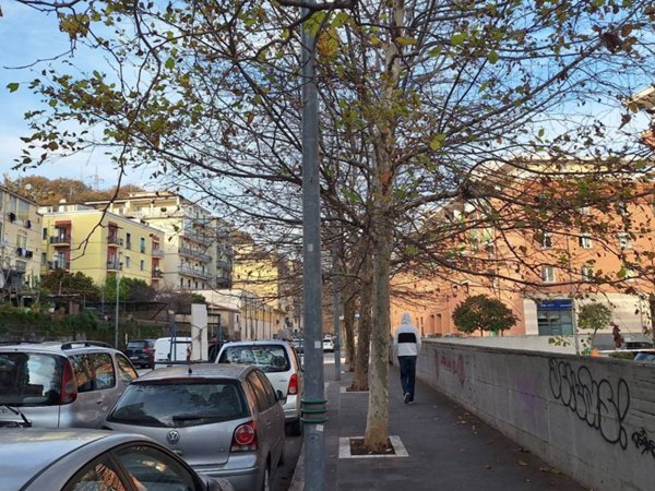 appartamento in vendita a Salerno in zona Irno