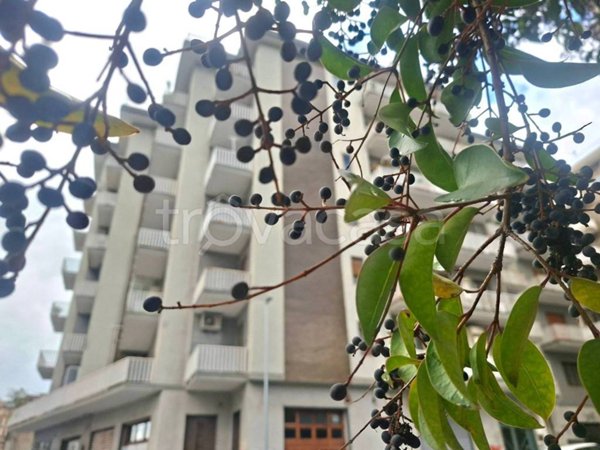 appartamento in vendita a Salerno