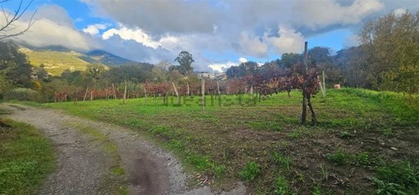 terreno agricolo in vendita a Salerno