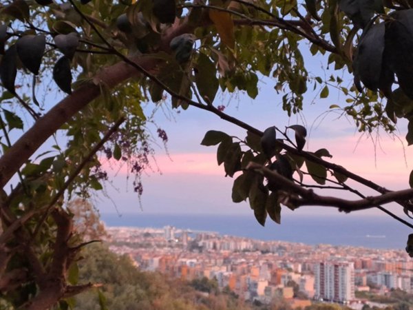appartamento in vendita a Salerno in zona Sala Abbagnano