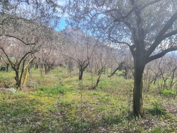 terreno agricolo in vendita a Salerno in zona Irno