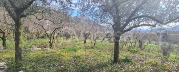 terreno agricolo in vendita a Salerno in zona Ogliara