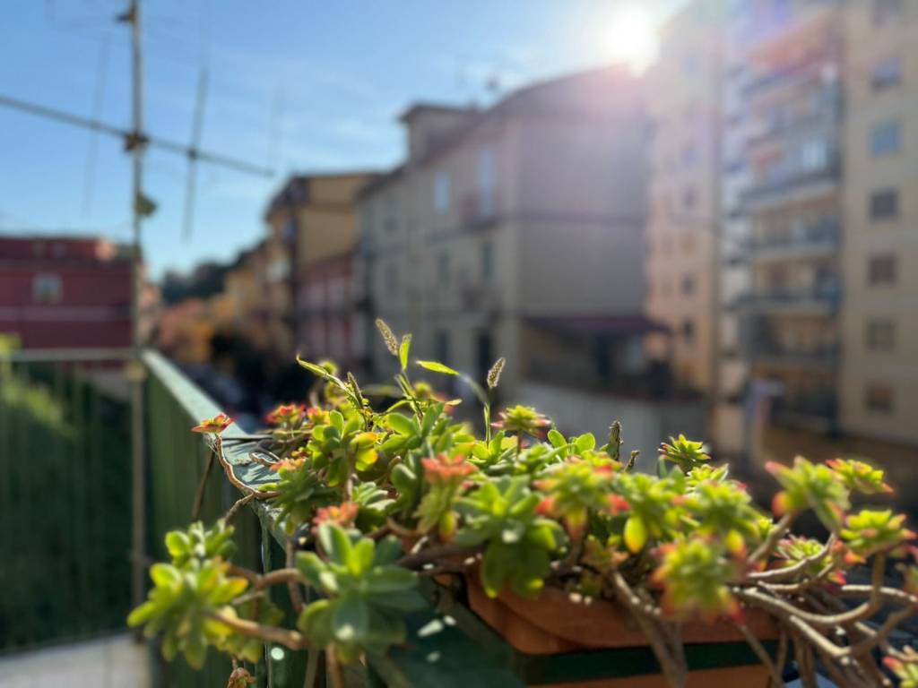 appartamento in vendita a Salerno in zona Irno