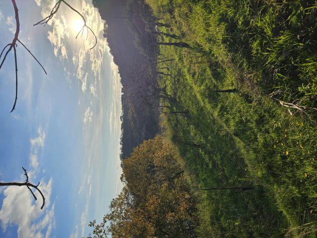 terreno agricolo in vendita a Salerno in zona Piegolelle-San Bartolomeo