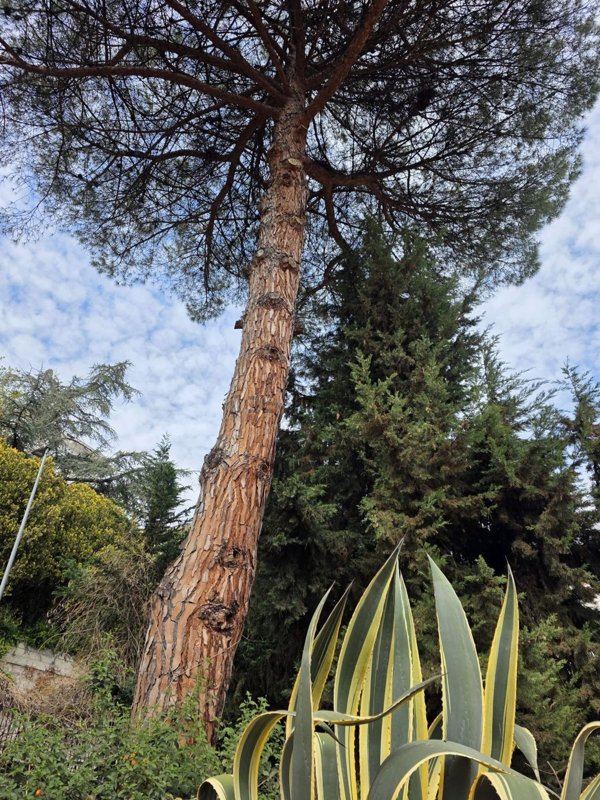 casa indipendente in vendita a Salerno