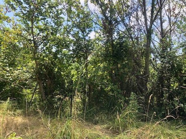 terreno agricolo in vendita a Salerno in zona Irno