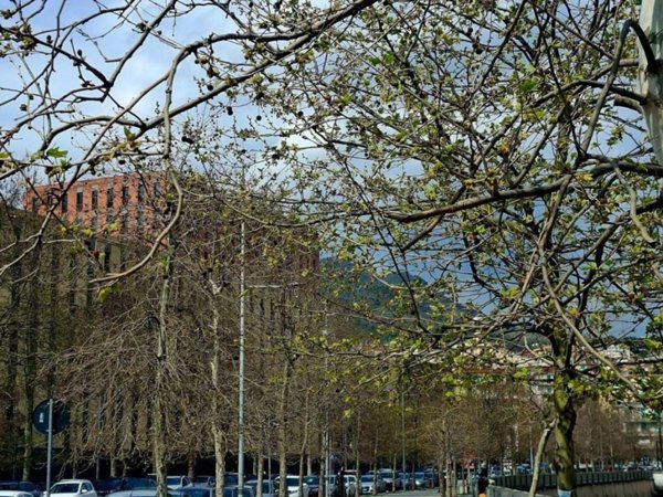 appartamento in vendita a Salerno in zona Ogliara