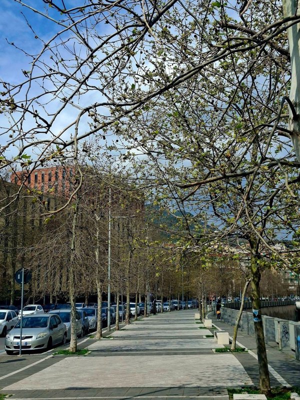 appartamento in vendita a Salerno