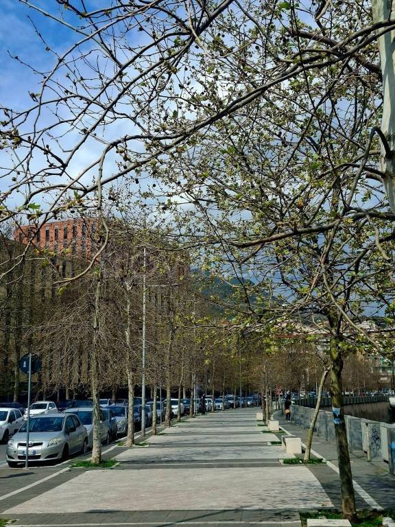 appartamento in vendita a Salerno in zona Irno
